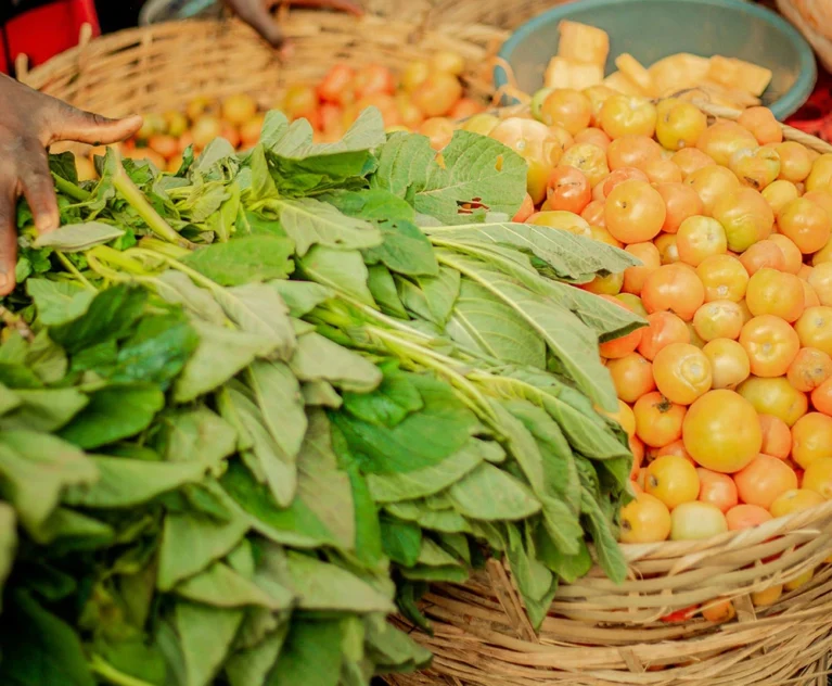 Ultrices sagittis orci a scelerisque purus semper eget duis at. Sollicitudin nibh sit amet.